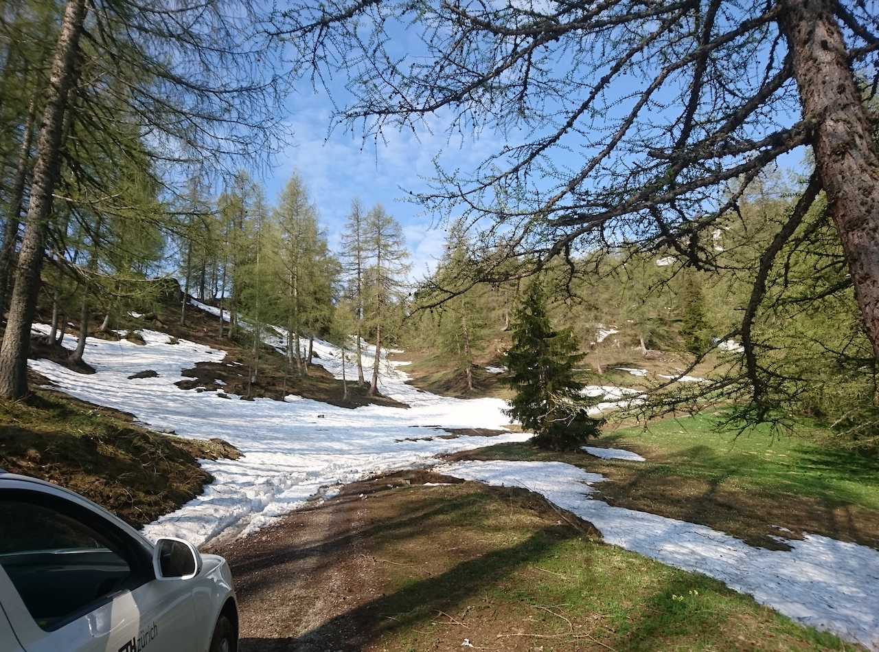 Enlarged view: Schnee auf Calanda in Frühling